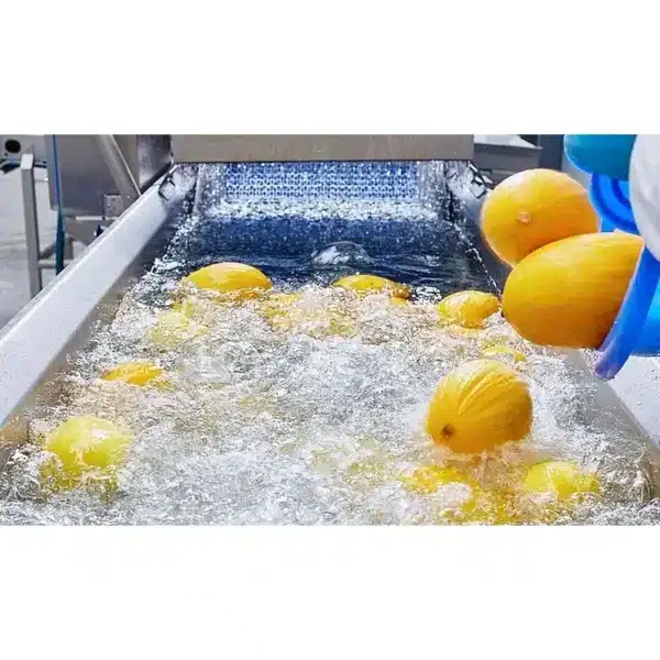 kronen deconwa prep csm washing decontaminating whole products melons d168e40520