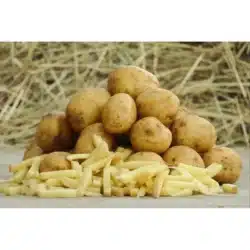 marcelissen slitmaster 85 pommes de terre speciales frites 20 kg 163806 1639066557 1024x682