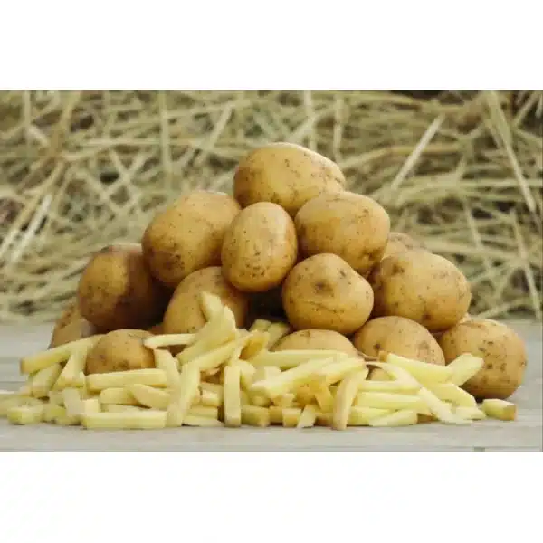 marcelissen slitmaster 85 pommes de terre speciales frites 20 kg 163806 1639066557 1024x682